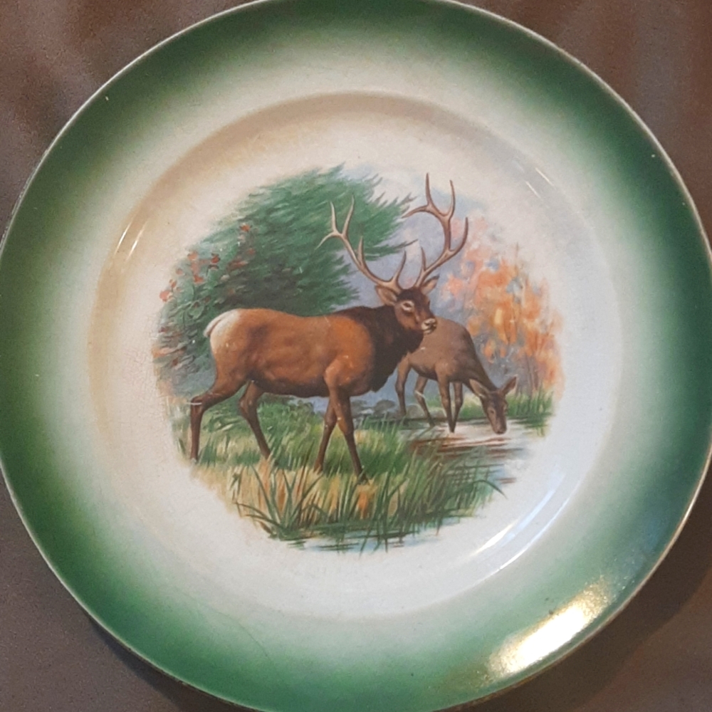 1918 Buffalo Pottery, USA cabinet plate